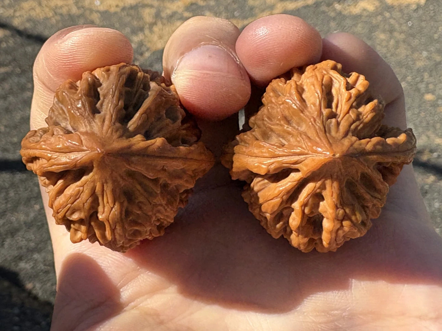 Orzechy Wenwan Chicken Heart