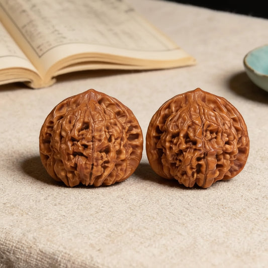 WenWan walnuts dla początkujących