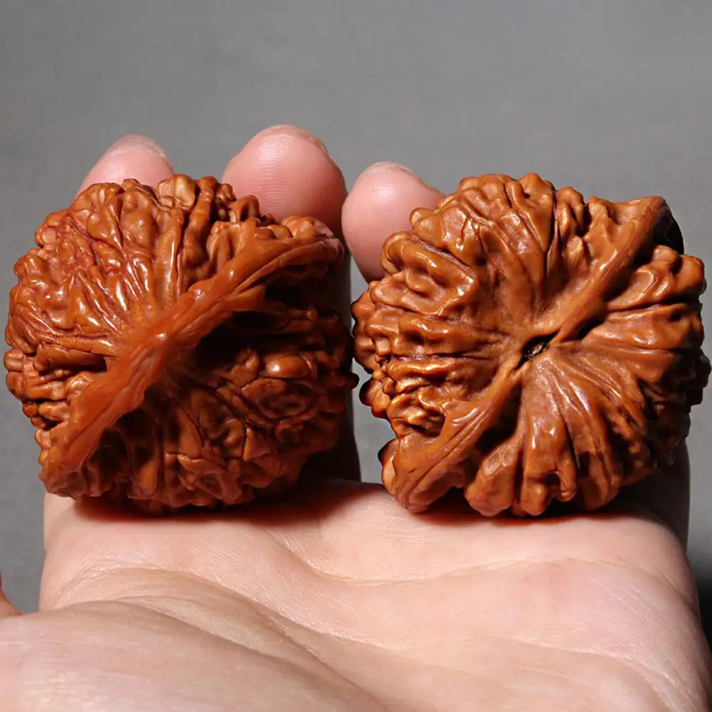 WenWan walnuts dla początkujących