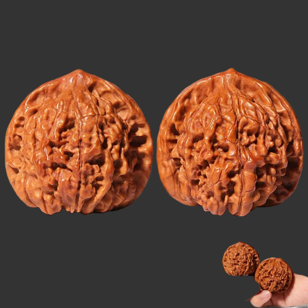 WenWan walnuts dla początkujących