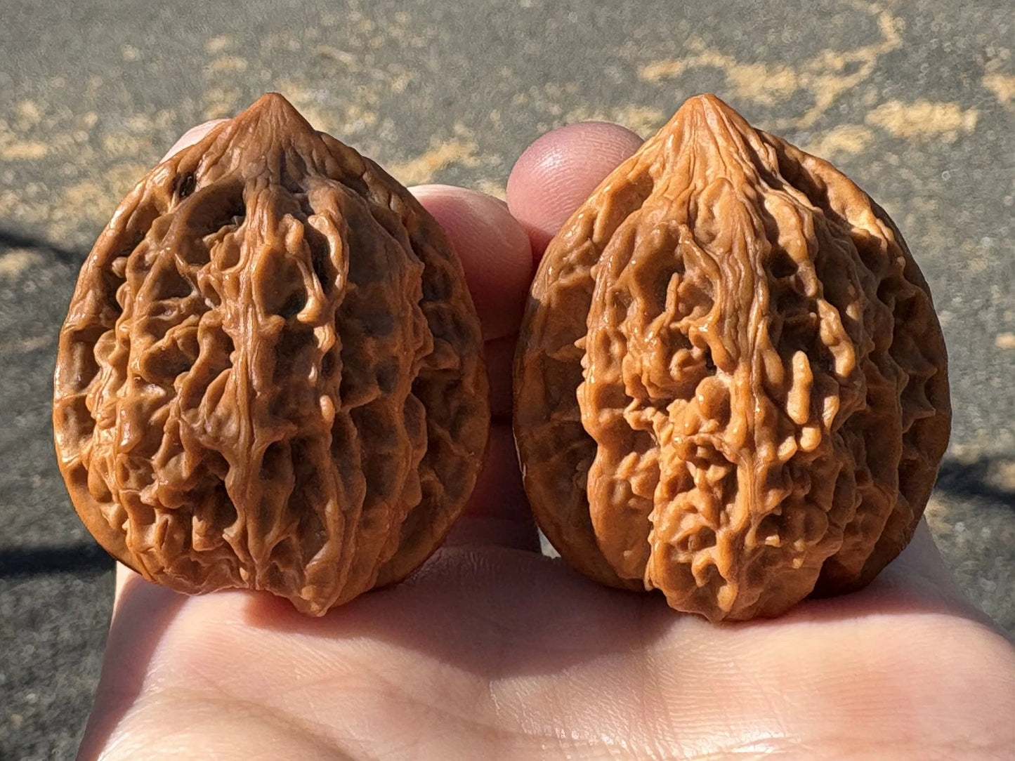 Orzechy Wenwan Chicken Heart